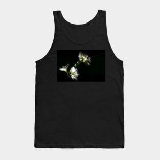 Amaryllis Flower In Full Bloom Tank Top